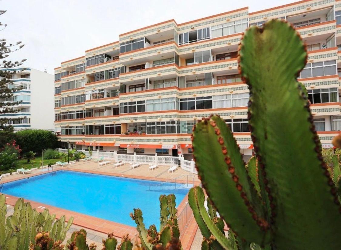 Calm, Cosy And Bright Apartment Renovated In Playa Del Ingles- Wifi Free Exterior foto